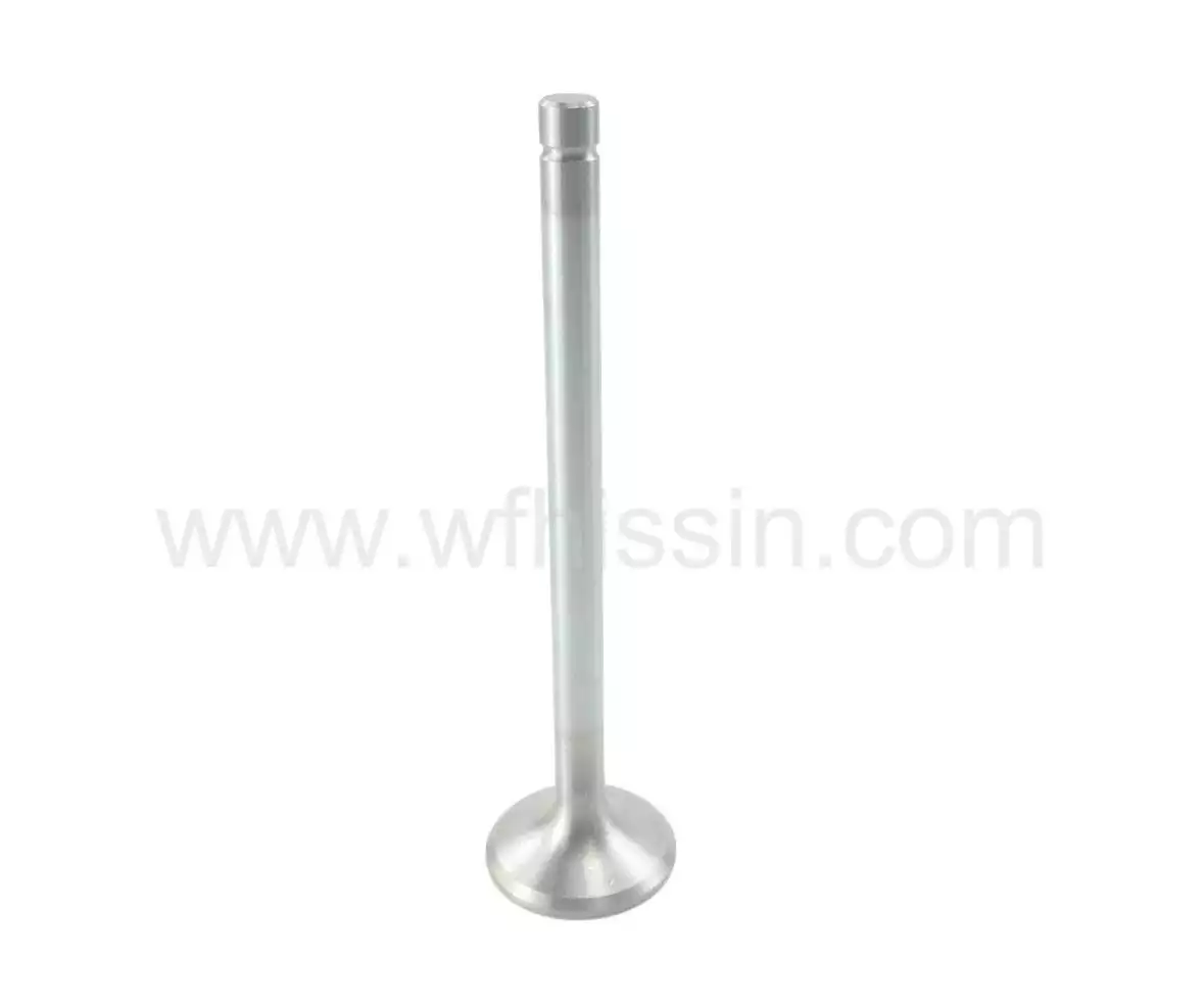 Intake Valve